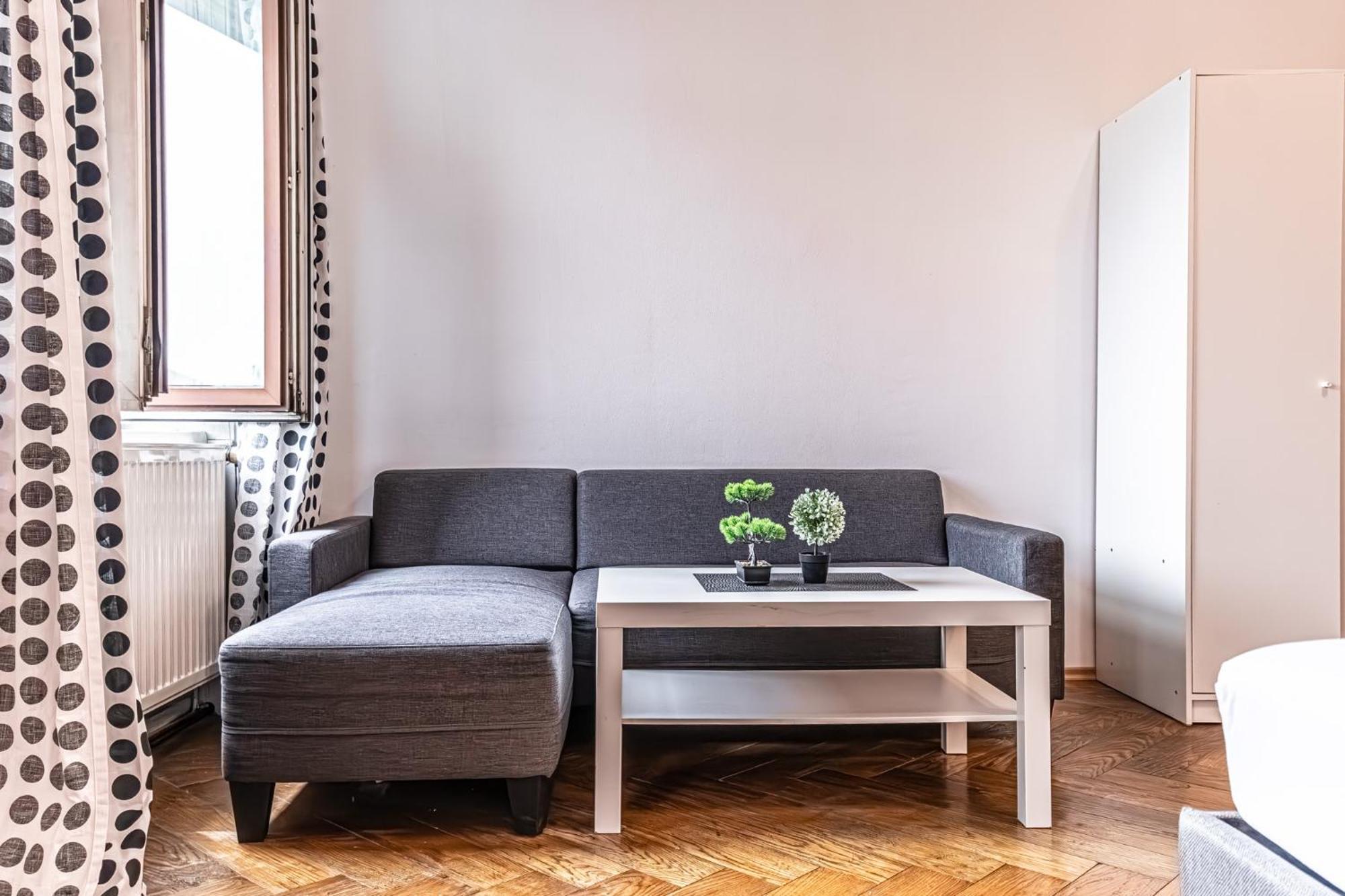 Apartment Beautifull 2 Side By Side Near Volksoper&akh Wien