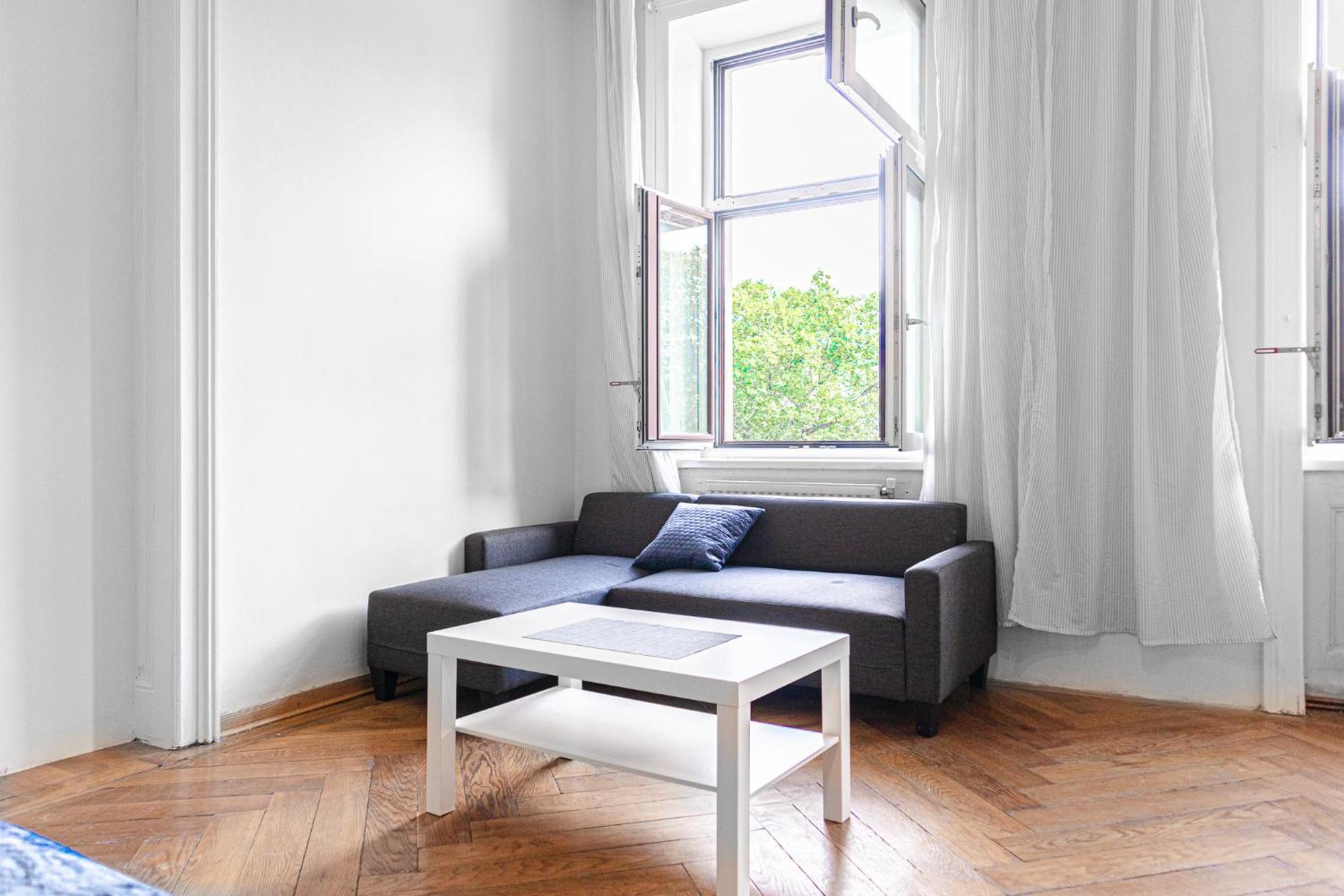 Apartment Beautifull 2 Side By Side Near Volksoper&akh Wien